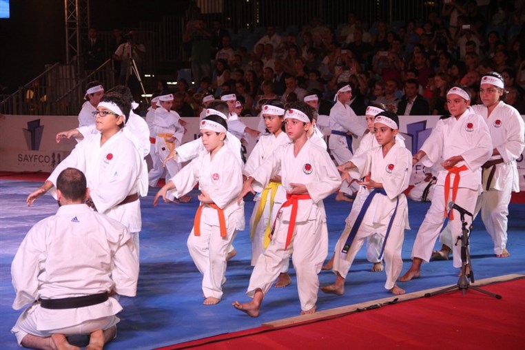 Martial Arts Festival